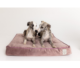 Starfire's Luxury ashen pink rectangular cushion bed 