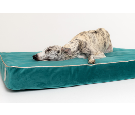 Starfire's Luxury green rectangular cushion bed