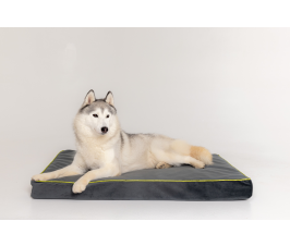 Starfire's Luxury grey rectangular cushion bed