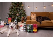 Happy Holidays from Starfire's Canine Care Line team !